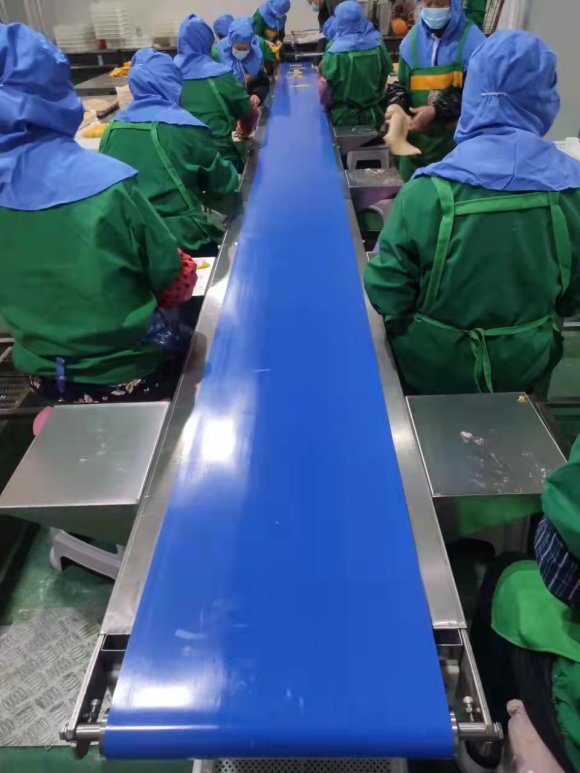 大型速冻水饺厂加工设备有哪些 水饺加工设备搭配  大型冻肉绞肉机